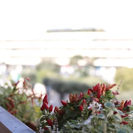 Luna Nuova Comfort & Vendégház